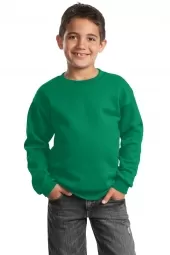 Youth Core Fleece Crewneck Sweatshirt